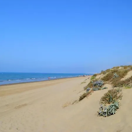 100m From * Marbella